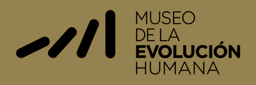 Logo du Musée de l'évolution humaine